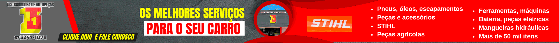DISTRIBUIDORA, AUTO PEÇAS, OFICINA, TJ